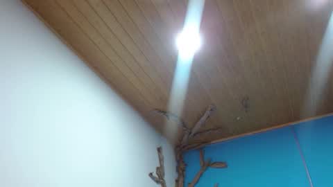 Andre online show from 02-03-26, 02:53