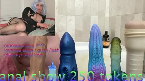 andrenoma427 online show from 02-03-26, 08:36