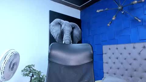 insta andres clark  online show from 10-26-25, 06:14