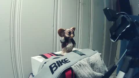 andy_552 online show from 09-18-25, 01:46