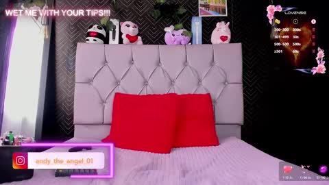 Snapshot of andy_angel1 chatting on 02-21-25, 01:00 andy angel online show from 02-21-25, 01:00
