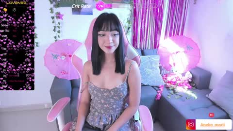         online show from 12-12-24, 02:33