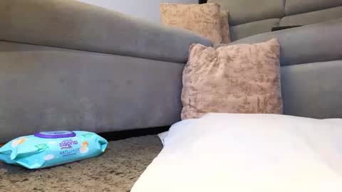 Anell online show from 11-24-25, 04:01