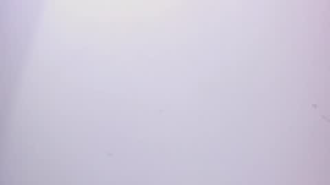 angel hardy online show from 02-15-25, 03:17