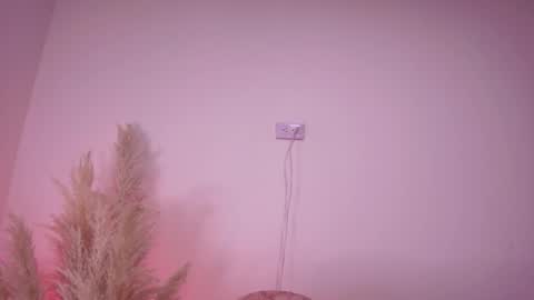 Angela Big boobs White online show from 02-05-25, 11:02