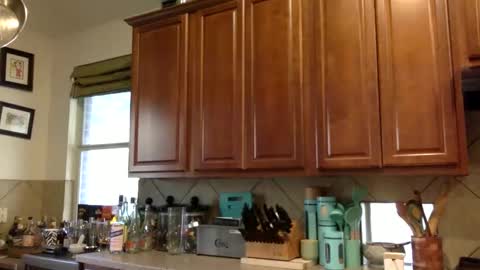 angelia01m online show from 10-31-25, 09:38