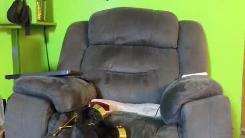 Snapshot of angelinasia chatting on 02-18-26, 02:24 Angel online show from 02-18-26, 02:24