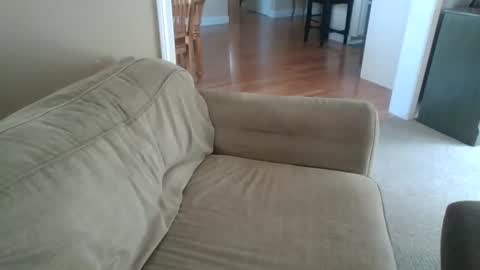 Snapshot of angh21 chatting on 05-26-26, 02:24 Bill M. online show from 05-26-26, 02:24