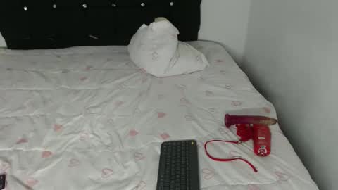 Snapshot of ani_steveson chatting on 02-26-26, 05:39 ani_steveson online show from 02-26-26, 05:39