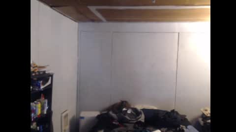 Snapshot of anilyseardor chatting on 02-25-25, 11:08 Ani online show from 02-25-25, 11:08