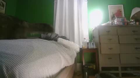 Ani online show from 02-15-26, 11:30