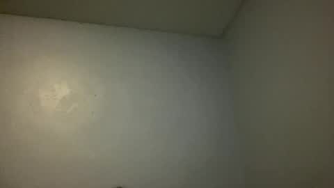 Animeboygirls online show from 11-10-25, 04:11