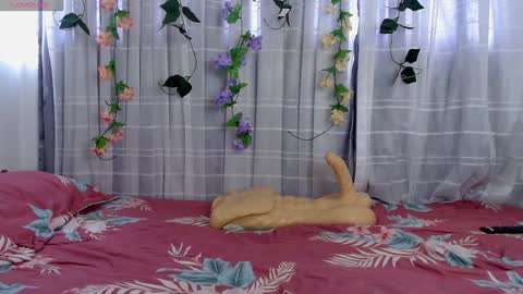 anissa_lee online show from 12-26-24, 07:38