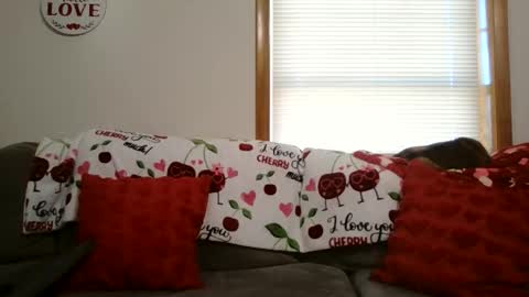 anne online show from 01-12-26, 05:40