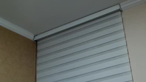       online show from 02-10-26, 01:53