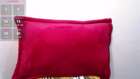 Snapshot of anneliesse chatting on 11-06-25, 10:05 anneliesse online show from 11-06-25, 10:05