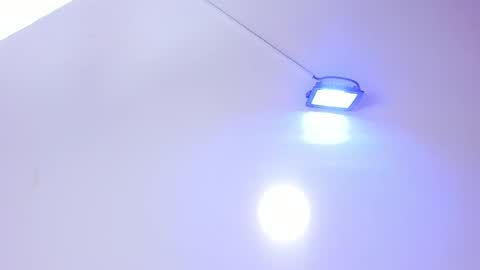 Annie online show from 01-19-25, 12:06