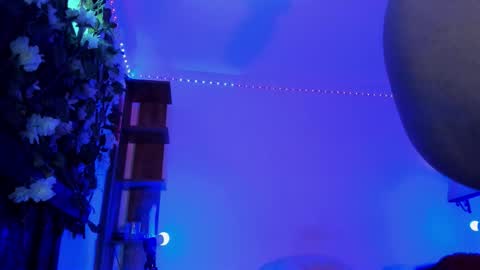 Anny online show from 01-31-26, 07:11