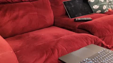 D online show from 02-20-26, 12:05