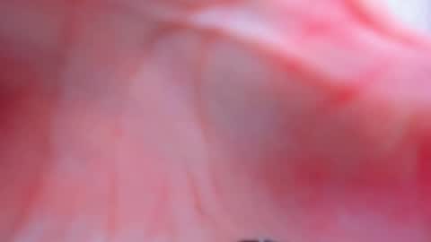 Anthea online show from 02-02-26, 03:55