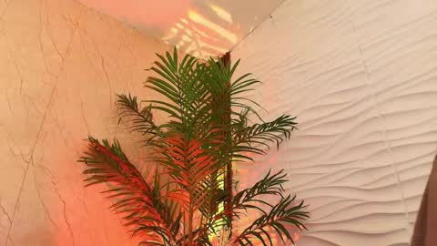 anton__monacu online show from 11-25-25, 03:50