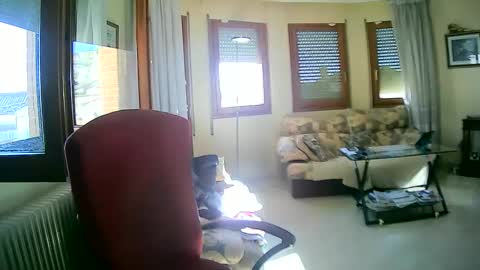 Snapshot of antonio2605 chatting on 01-13-25, 11:19 Antonio online show from 01-13-25, 11:19
