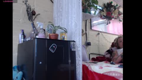 Snapshot of anyholl chatting on 03-01-26, 03:14 any simsom online show from 03-01-26, 03:14