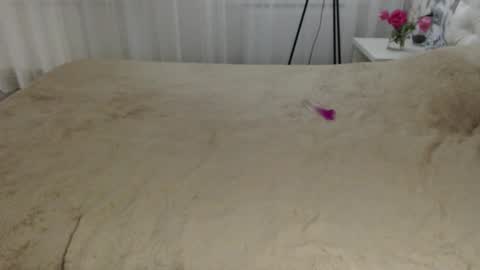 Snapshot of aphrodite83 chatting on 09-20-25, 08:32 Aphrodite online show from 09-20-25, 08:32