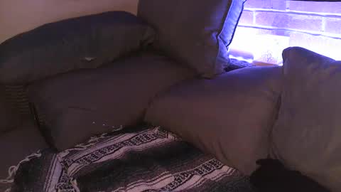 Snapshot of aphrodite_ash chatting on 09-25-25, 07:56 Shy Happy Pair online show from 09-25-25, 07:56