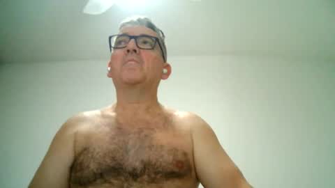 furry bear online show from 02-21-25, 10:15