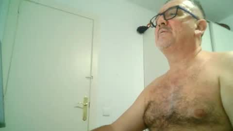 furry bear online show from 09-08-25, 10:53