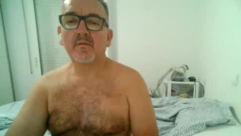 furry bear online show from 09-11-25, 09:59