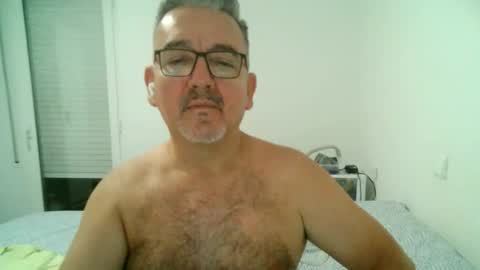 furry bear online show from 09-12-25, 09:59