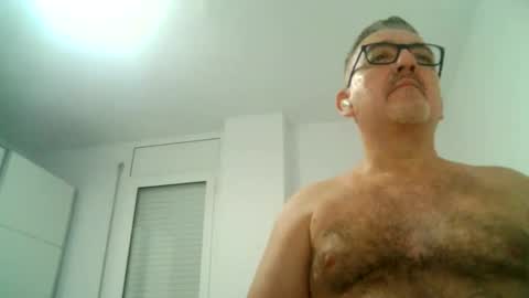 furry bear online show from 09-16-25, 08:43
