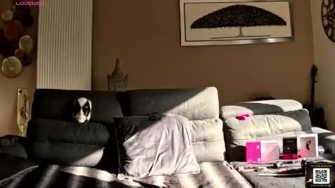 apollonfitx_69 online show from 02-01-26, 01:53