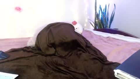 Snapshot of apolo01_ chatting on 12-11-24, 03:58 Apolo online show from 12-11-24, 03:58