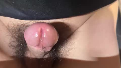 apple2761 online show from 04-01-26, 01:41