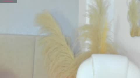 Snapshot of april_ebony18_ chatting on 04-29-26, 10:41 April online show from 04-29-26, 10:41