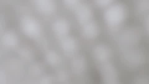 April online show from 12-11-24, 11:54