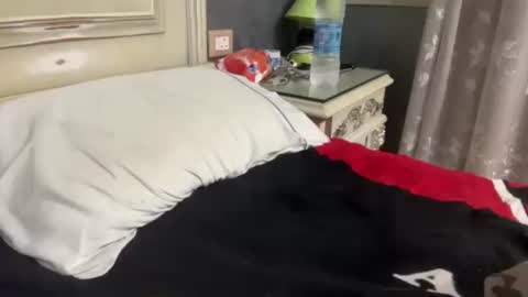 Egyptian Man online show from 01-29-25, 01:05