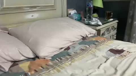 Egyptian Man online show from 09-23-25, 12:13