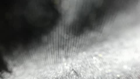 Arantza Hill online show from 06-17-26, 08:21