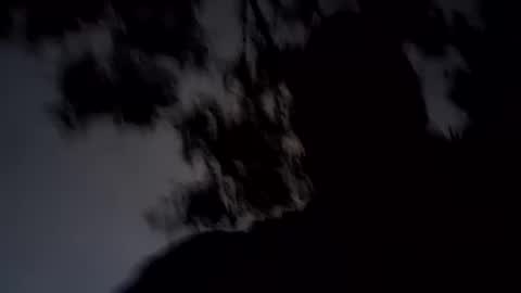 Snapshot of archangel__michael chatting on 01-19-25, 11:34 ARCHANGEL MICHAEl online show from 01-19-25, 11:34