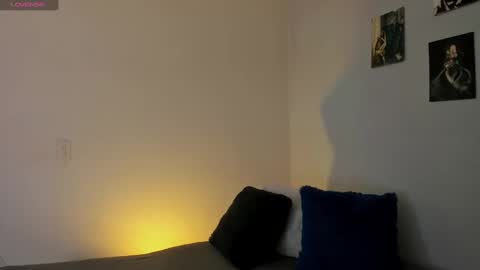 Snapshot of ares_johnsonn chatting on 01-03-25, 01:47 Ares online show from 01-03-25, 01:47