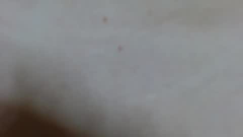 Snapshot of ariana_28 chatting on 02-02-25, 04:15 Ariana lvarez online show from 02-02-25, 04:15