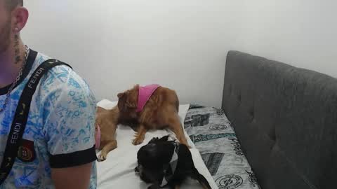 ariana_esteban07 online show from 02-06-26, 10:29