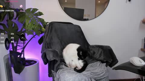 DaniAri - dimension X at night NY time online show from 01-28-25, 03:47