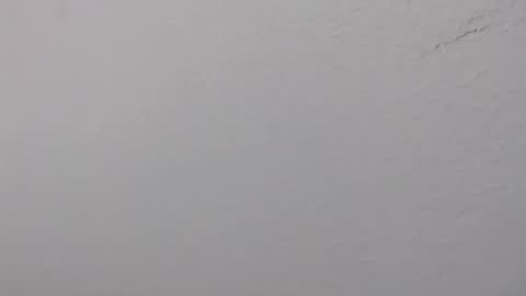 ariannaloovel online show from 06-14-26, 02:24