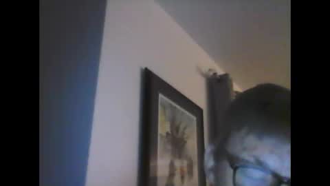 Snapshot of ariens chatting on 01-14-25, 06:45 ariens online show from 01-14-25, 06:45