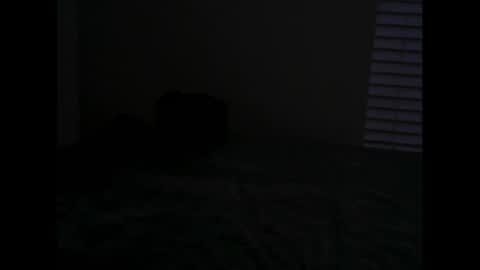 Snapshot of arkk_angel chatting on 01-20-25, 10:51 Arkk Angel online show from 01-20-25, 10:51